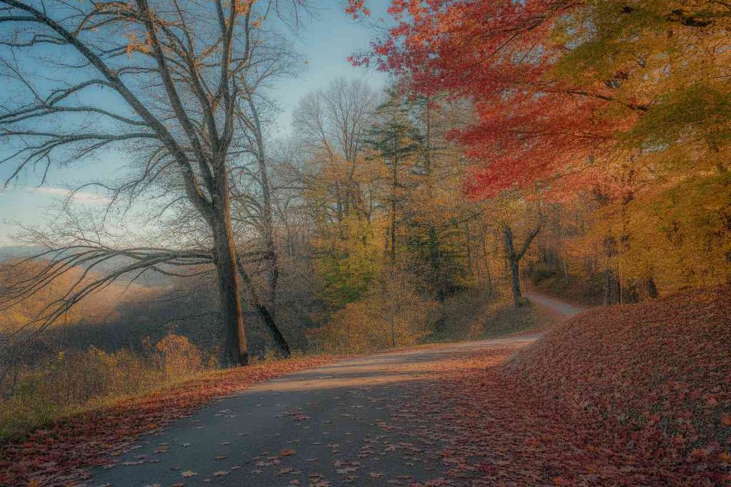 autumn coloring pages